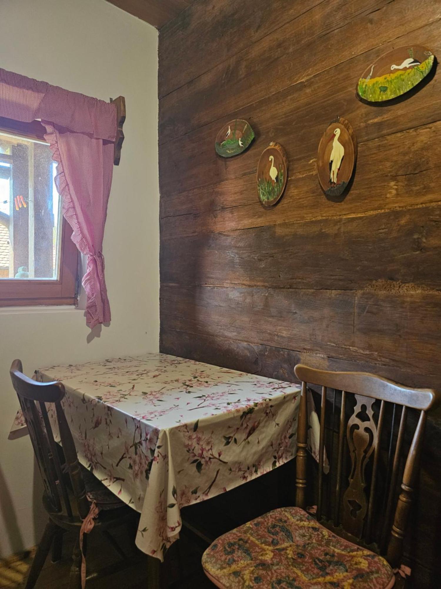 Apartments Kuvarna Čigoč المظهر الخارجي الصورة