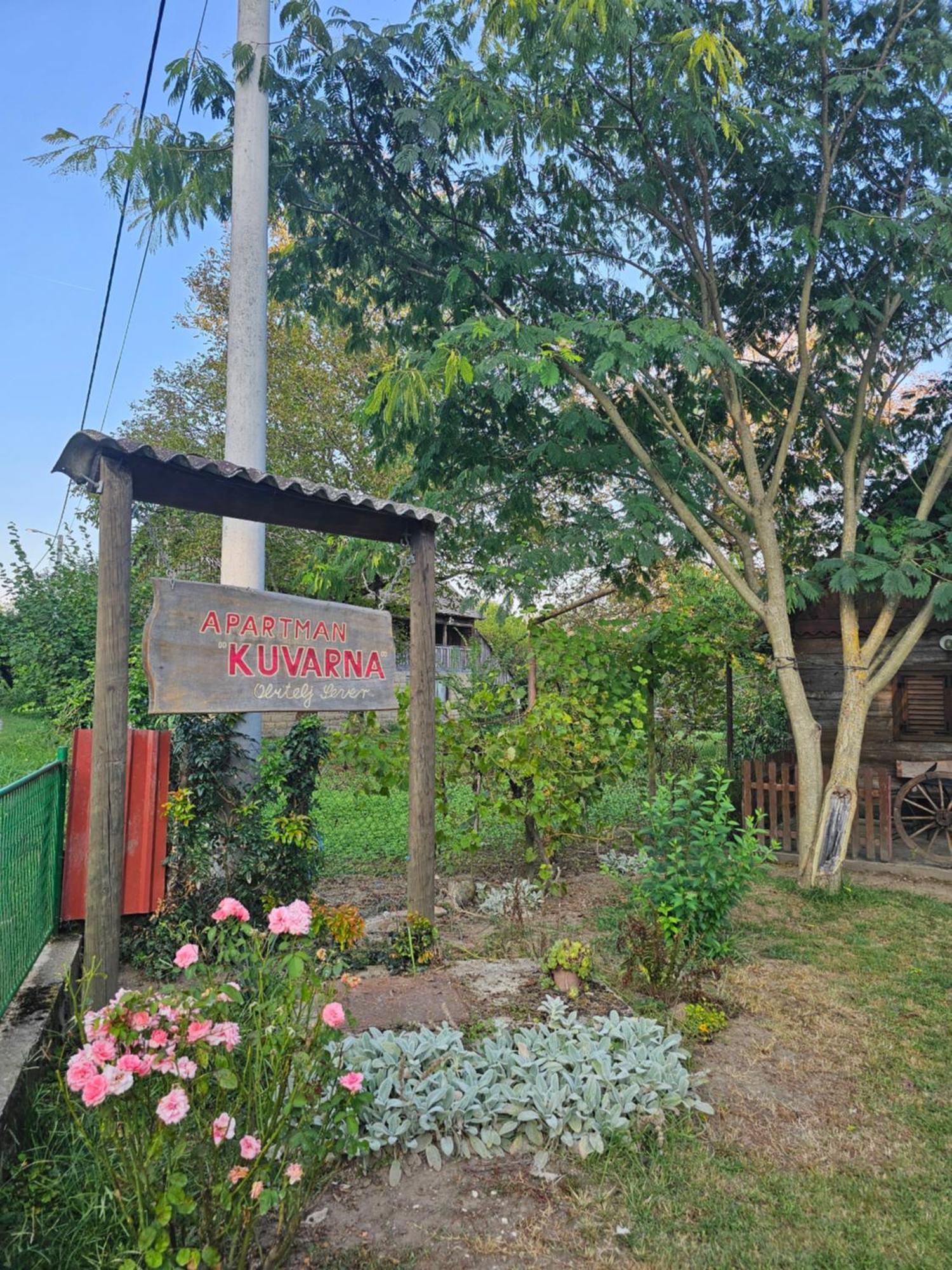 Apartments Kuvarna Čigoč المظهر الخارجي الصورة